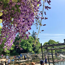 清水公園