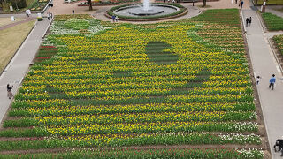 当たり前だけど見ごたえあり