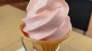 チューリップ四季彩館