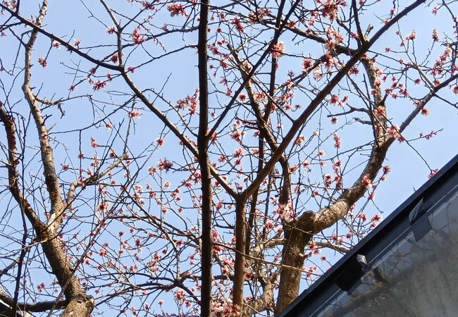 GARDEN HOUSE KAMAKURA
