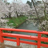 桜が満開でした