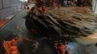 館山市立博物館(本館)