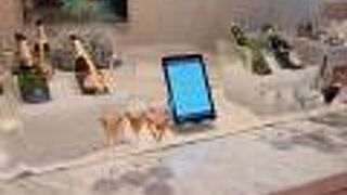 シグニエル ソウル