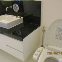 水量が難しい洗浄型トイレ