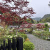 百毫寺に隣接しています。藤棚や季節の花が美しいです♪