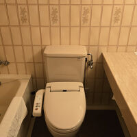 ユニットバスは広く、カウンターが広く便利でした