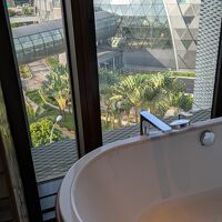 バスタブとジュエル