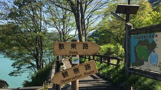 中央構造線公園 