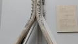 大洗海洋博物館