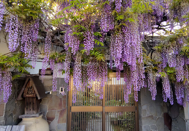信達宿のふじまつり