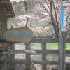春の坪尻駅