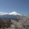 見事な景観だが…