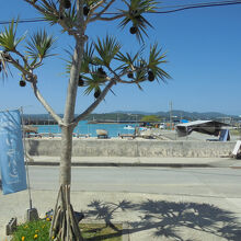 施設の海側には港があります