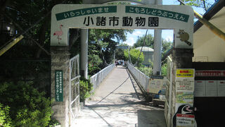 小諸市動物園