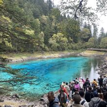 本当に写真のままの色でした。