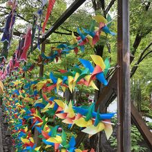 写真スポットがいっぱいです