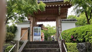 宝徳寺の床もみじはすてきでした。