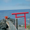 海に向かった小さな神社