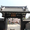 枝垂れ桜が満開でした