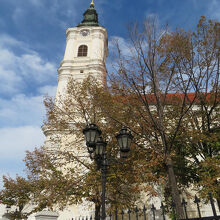 スロボデ広場のセルビア国立劇場裏手にあります。