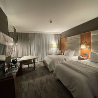 広い部屋でゴージャスな感じです。