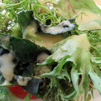 サラダにかけたリンゴのドレッシングが絶品でした