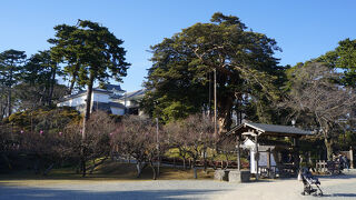 施設が意外にたくさんあって