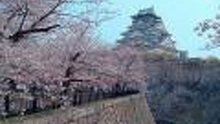 大阪城西の丸庭園