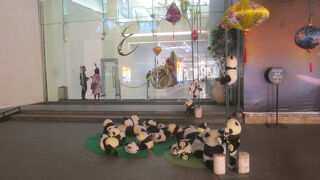 パンダだらけになっていました