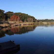 東庄県民の森と夏目の堰の風景