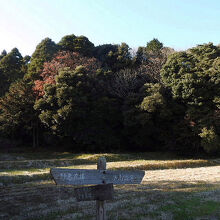 東庄県民の森の風景