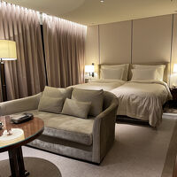 リビングエリアとベッドに分かれていて広々しています