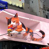 新宿東口の猫『GIANT CAT 3D』ビルに住み付いて長く愛され続けるニャンコ(ΦωΦ)ｖ