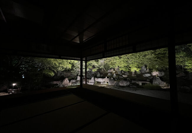 幻想的な庭を堪能