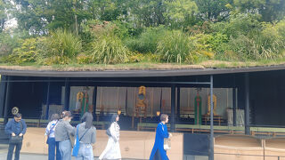 修復中の仮本殿に、様々な植物が植えられていました