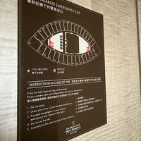 人の目の作りの構造。ちょっとレプタリアン気味。