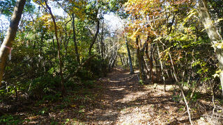 平井山ノ上付城跡(羽柴秀吉本陣跡)