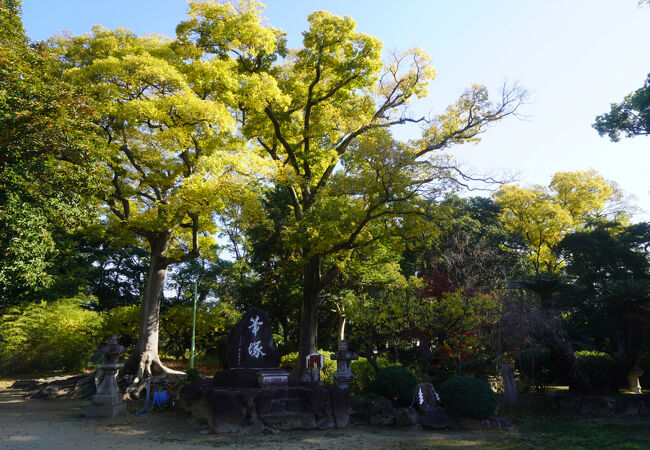 大阪みどりの百選