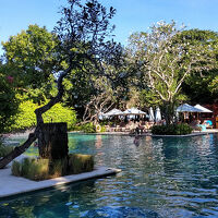 プール。綺麗になり、泳ぎやすかった。