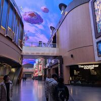 必見の価値あり。