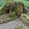 阿里山森林遊楽区