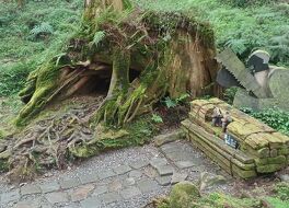 阿里山森林遊楽区