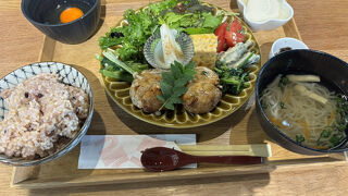 クラテラスたつの