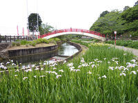 賀茂しょうぶ園