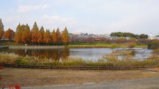 けっこうなスケール感があって気持ちが和みます