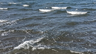 南国な雰囲気のある神社でした。