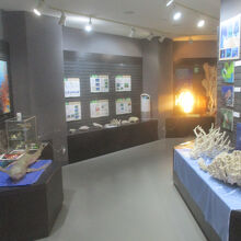 サザンクロスセンター