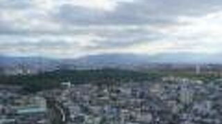 堺市役所21階展望ロビー