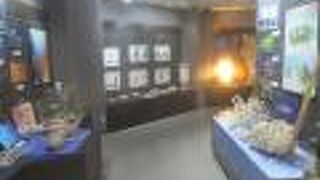 サザンクロスセンター