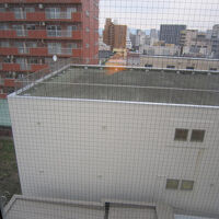 隣のビル屋上ビュー